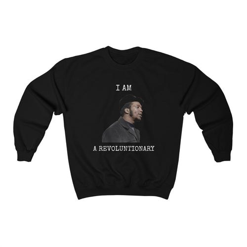 I Am A Revoluntionary/Fred Hampton: Unisex Heavy Blend™ Crewneck Sweatshirt